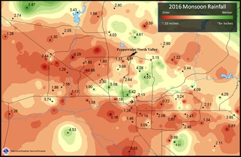 Maricopa county rainfall