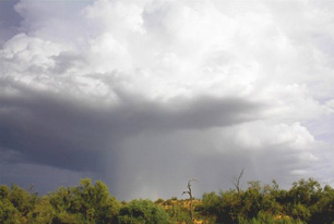 A rain shaft descends from a Thunderstorm over the open Desert